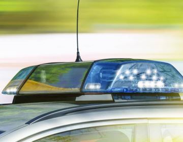 custodia de transporte en leon guanajuato